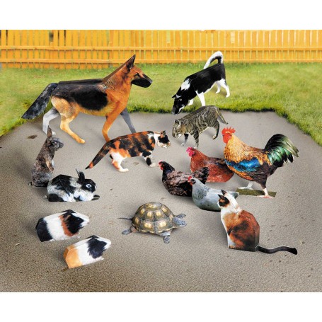 Huisdieren Kartonnen schaalmodel