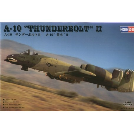 Fairchild A-10 Thunderbolt II Modelvliegtuigen