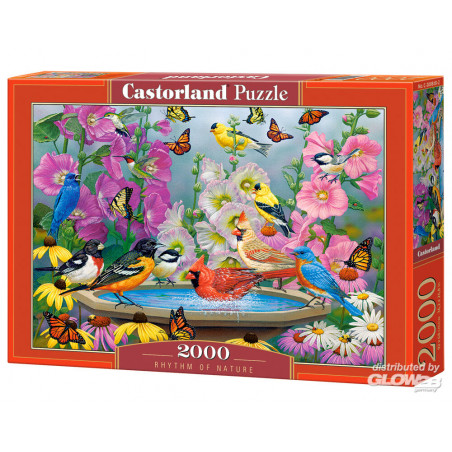 Puzzel Rhythm of Nature Puzzle 2000 Teile 