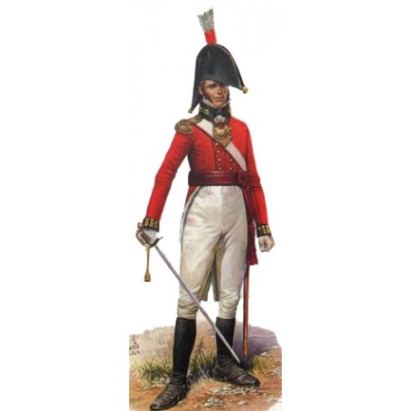 British Command Napoleonic x 24 figures Historische figuren